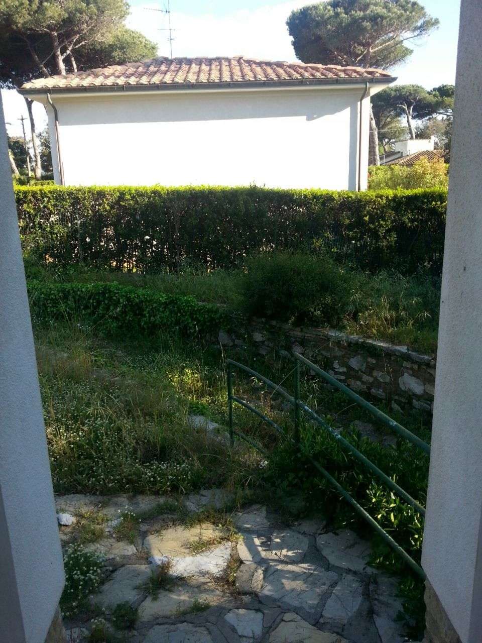  - foto 7