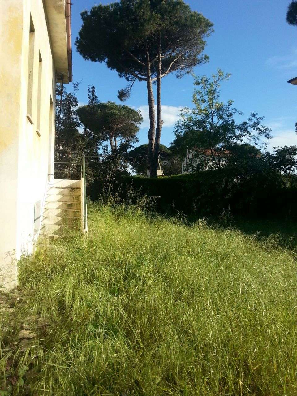  - foto 9