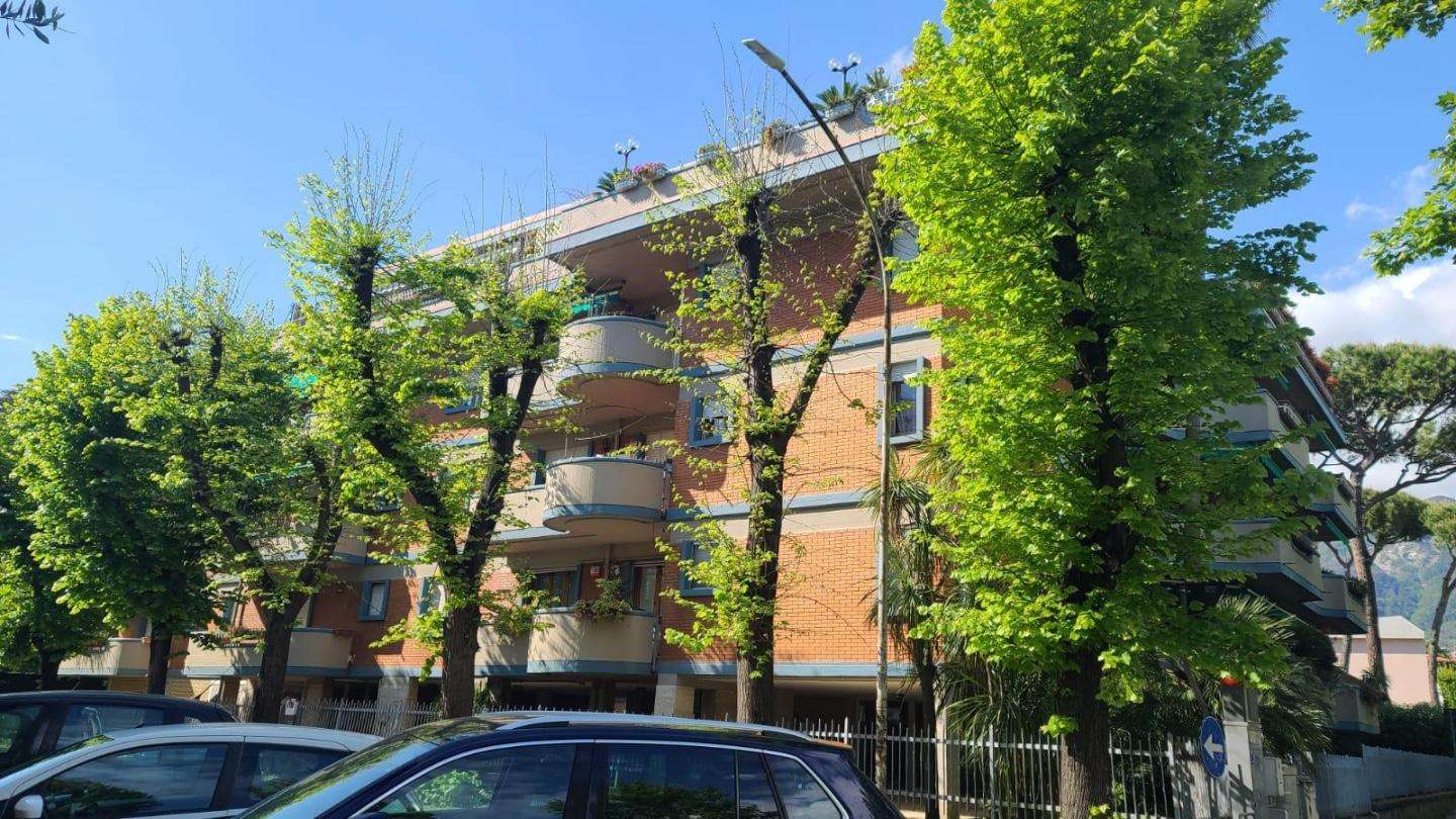 immagine annuncio 7 di 14