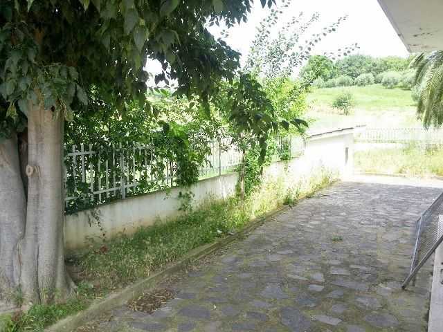  - foto 17