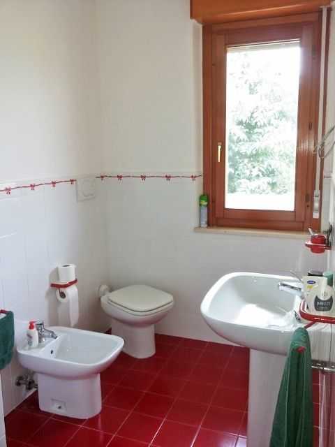  - foto 36
