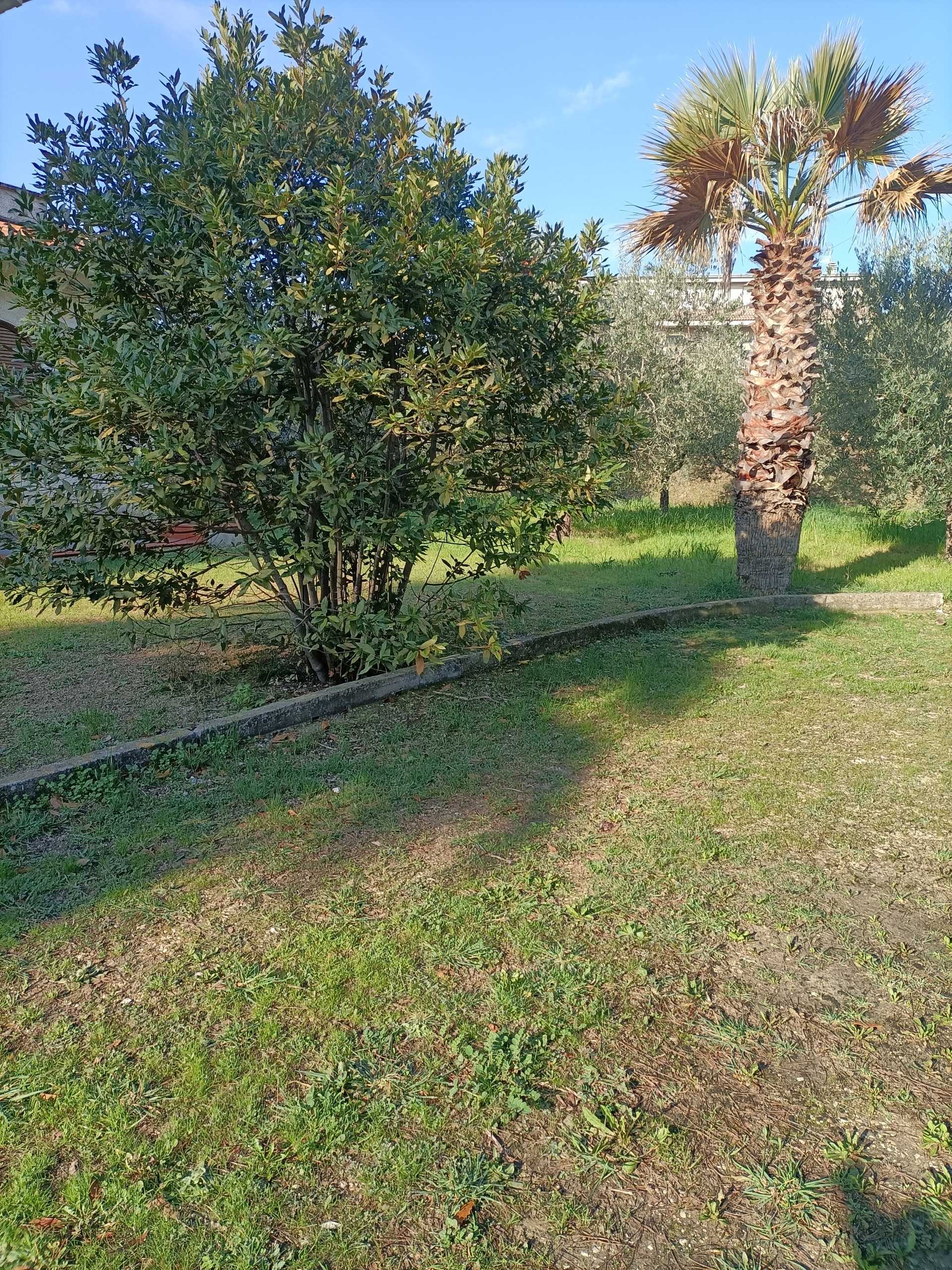  - foto 28