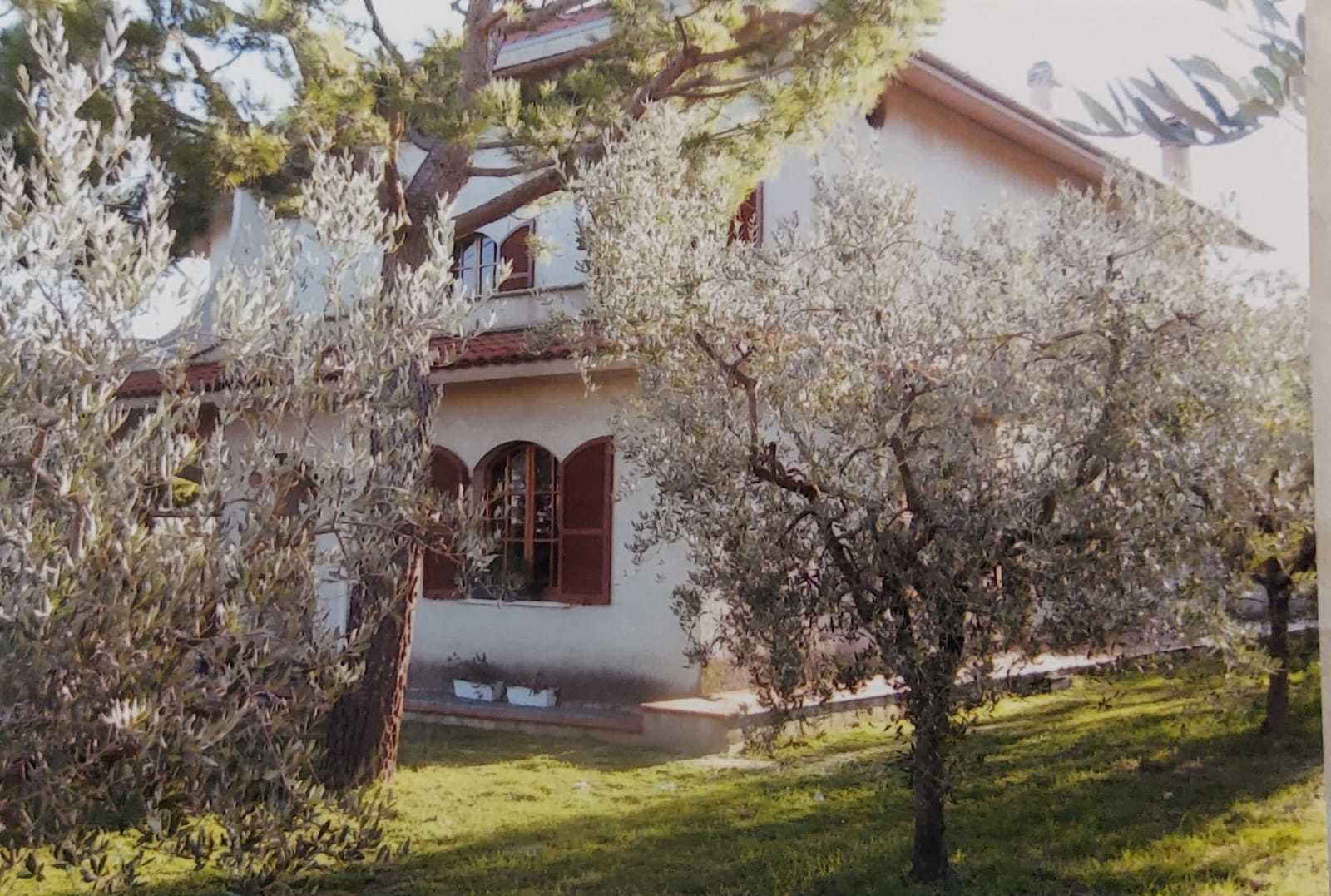  - foto 4