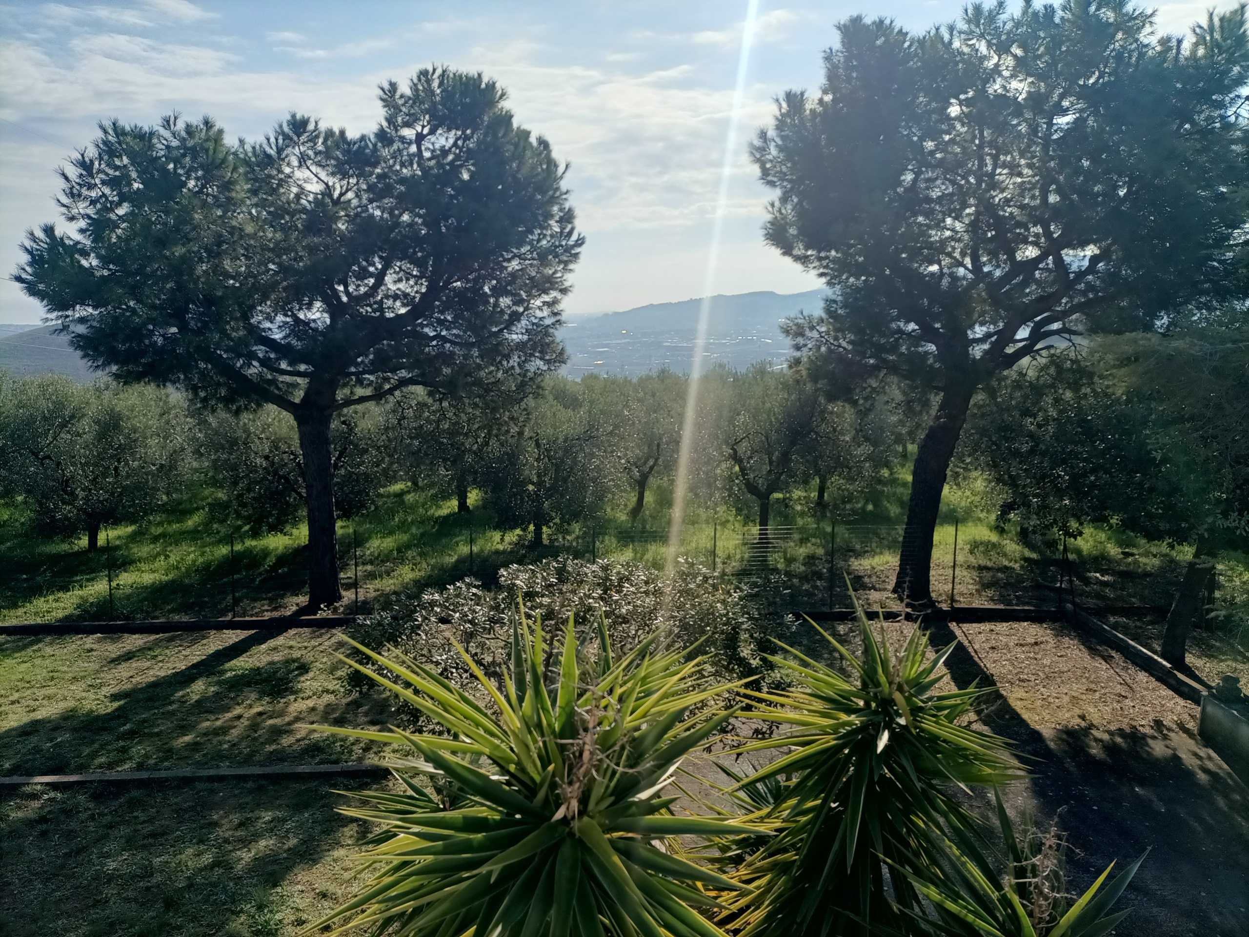  - foto 5