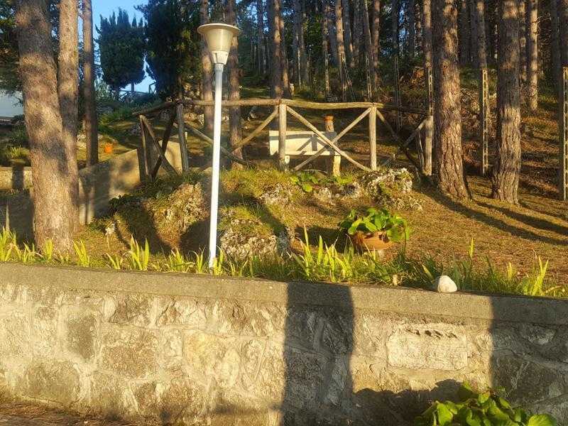  - foto 27