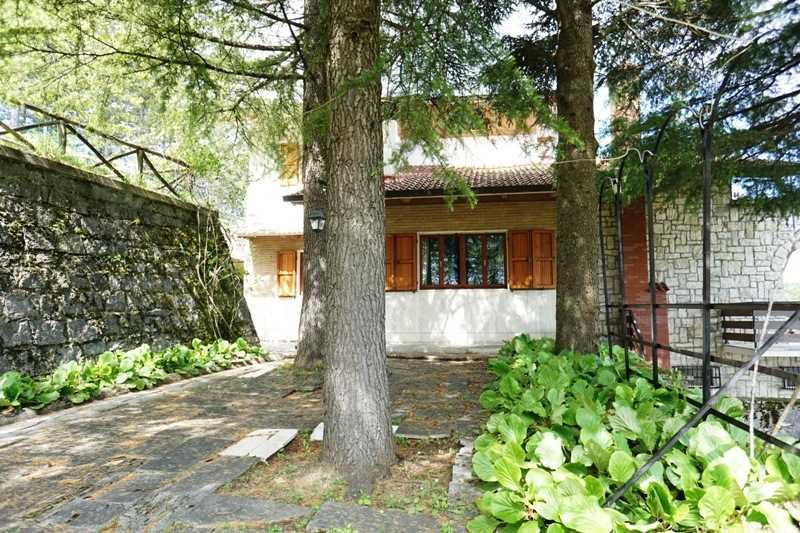  - foto 31