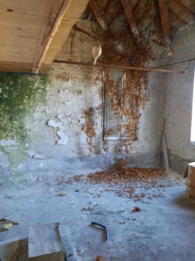  - foto 13