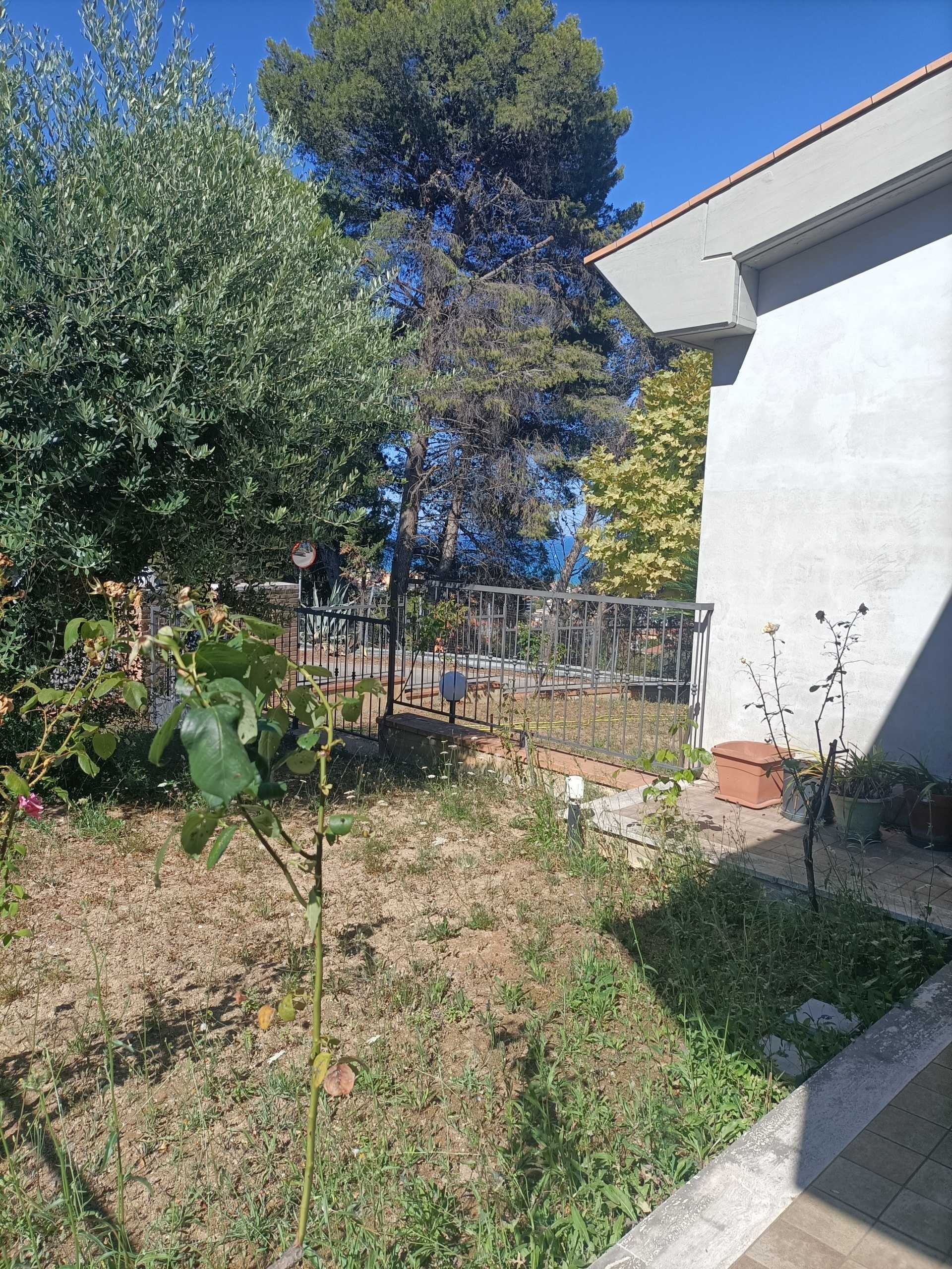 - foto 24
