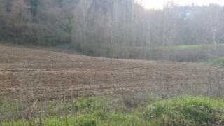  - foto 30
