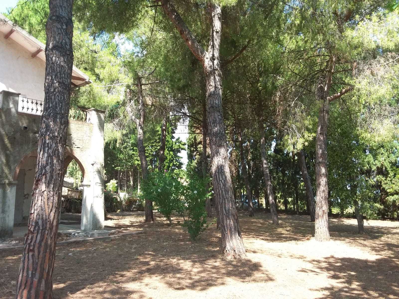  - foto 11