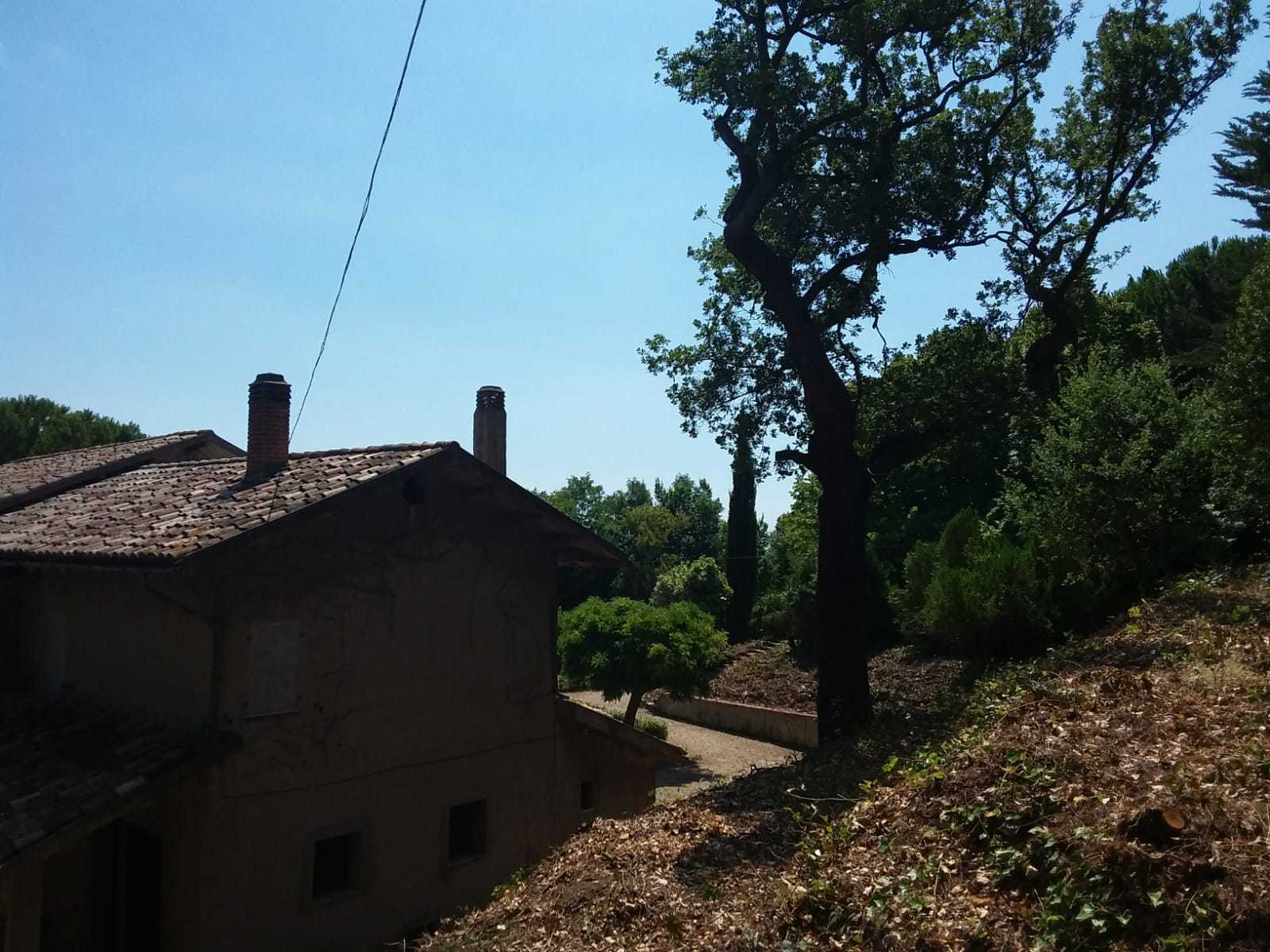  - foto 15