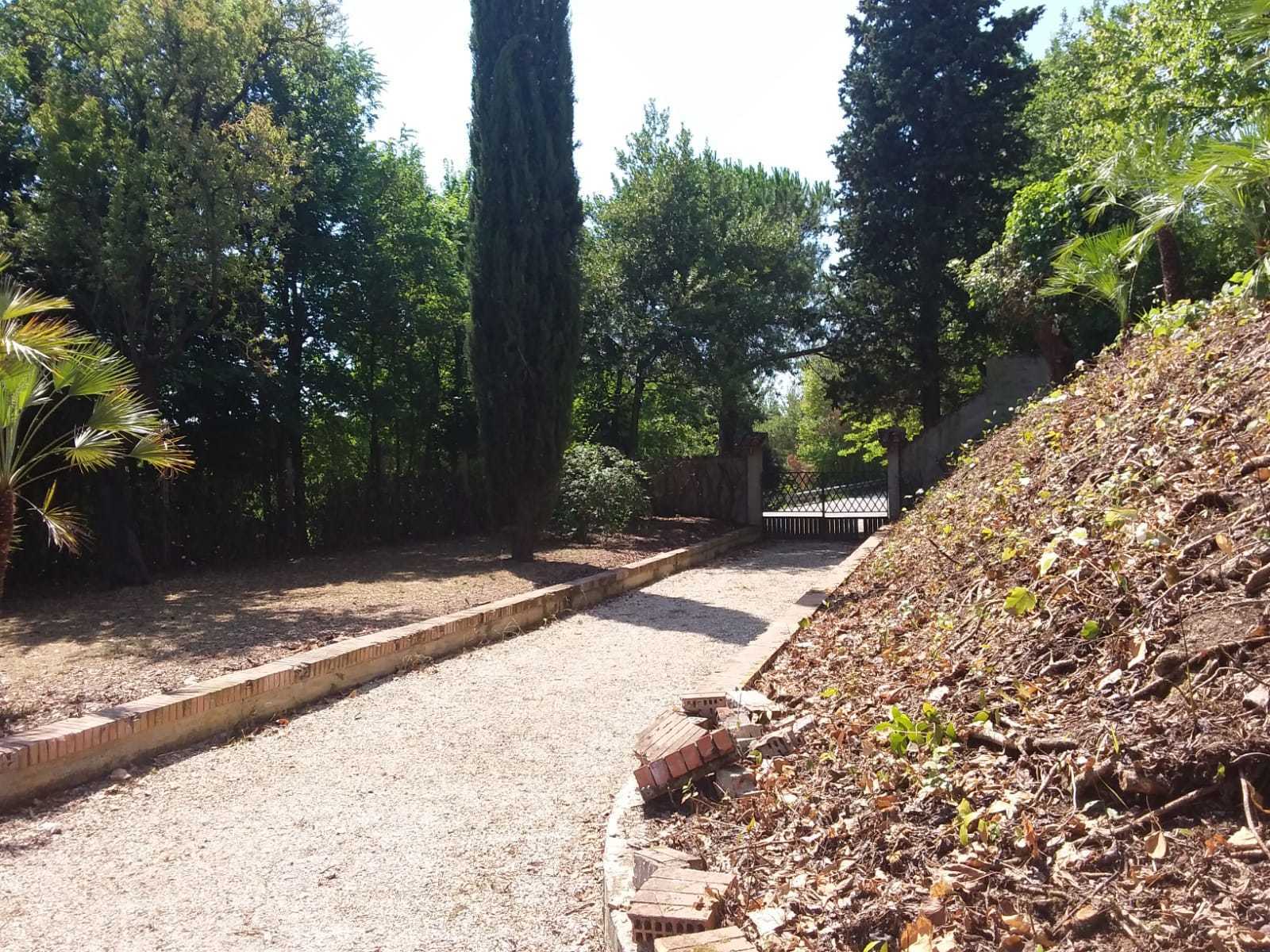  - foto 32