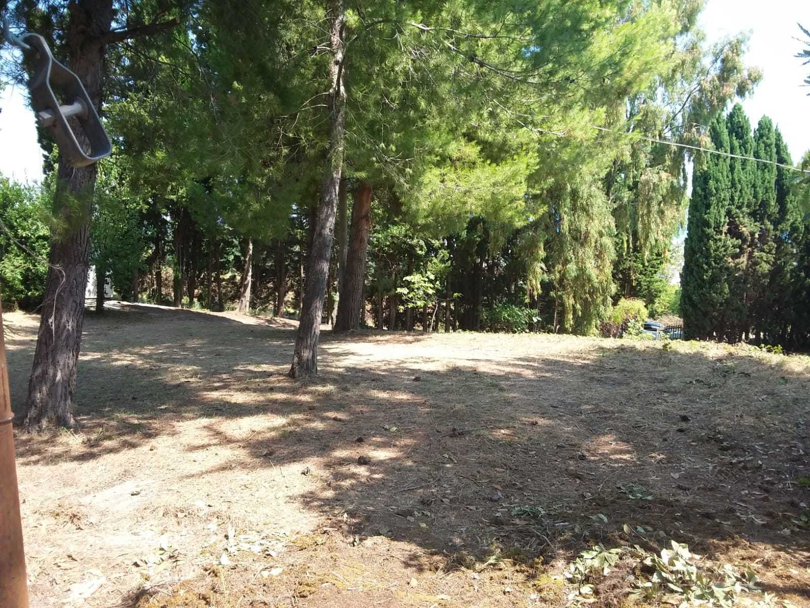  - foto 36