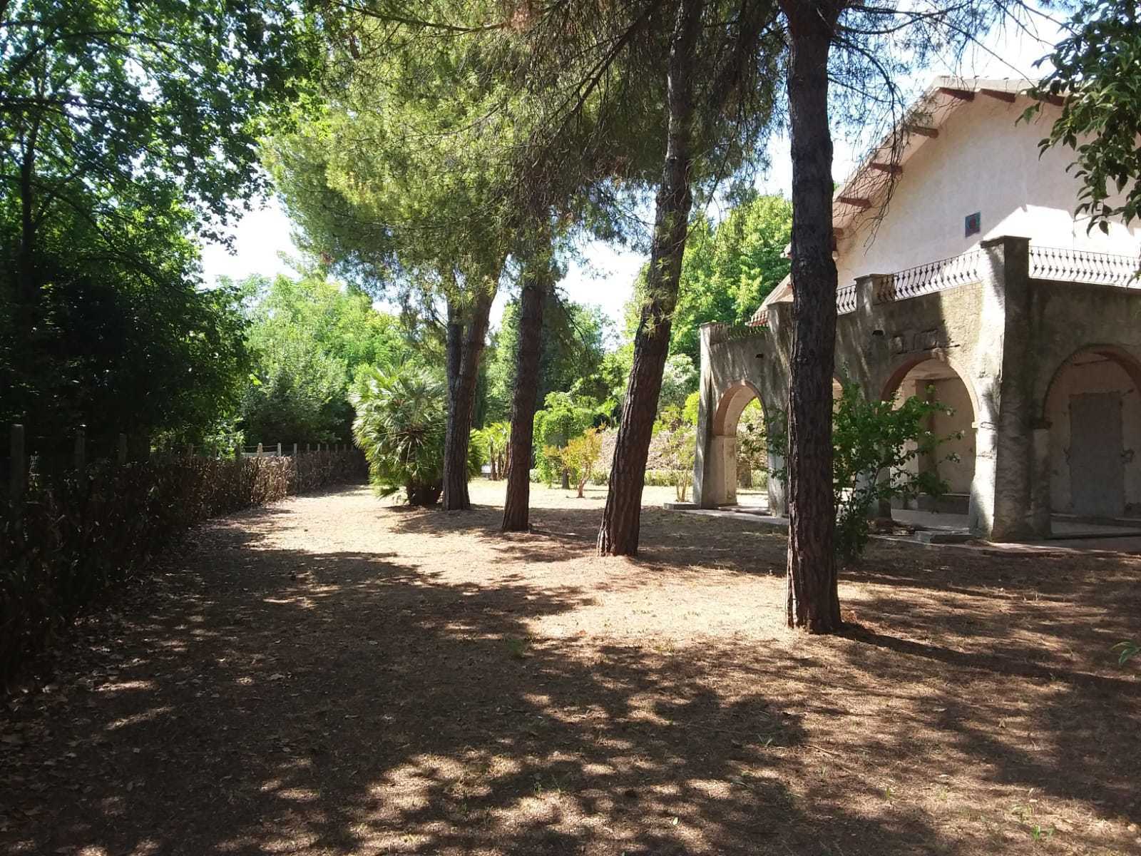  - foto 5