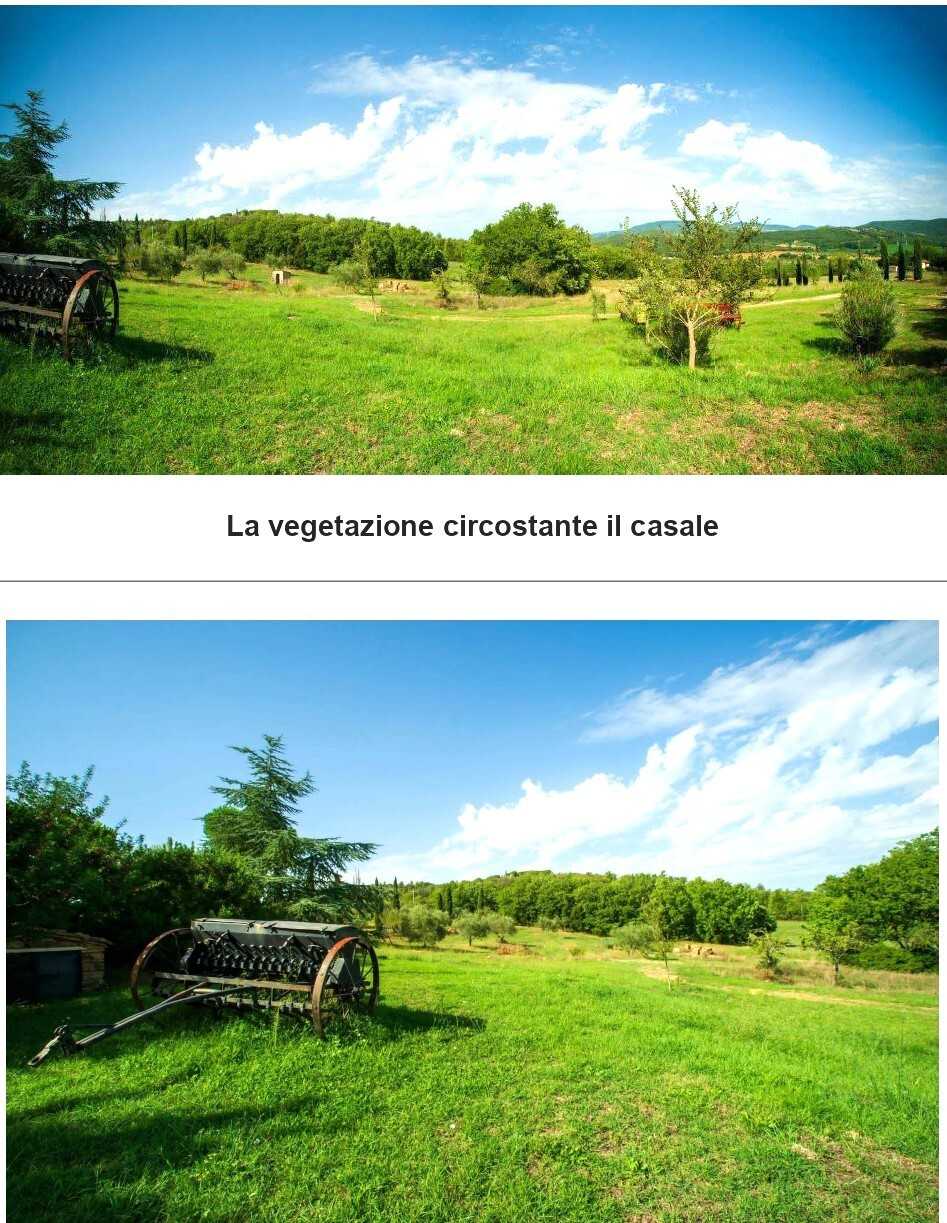  - foto 11