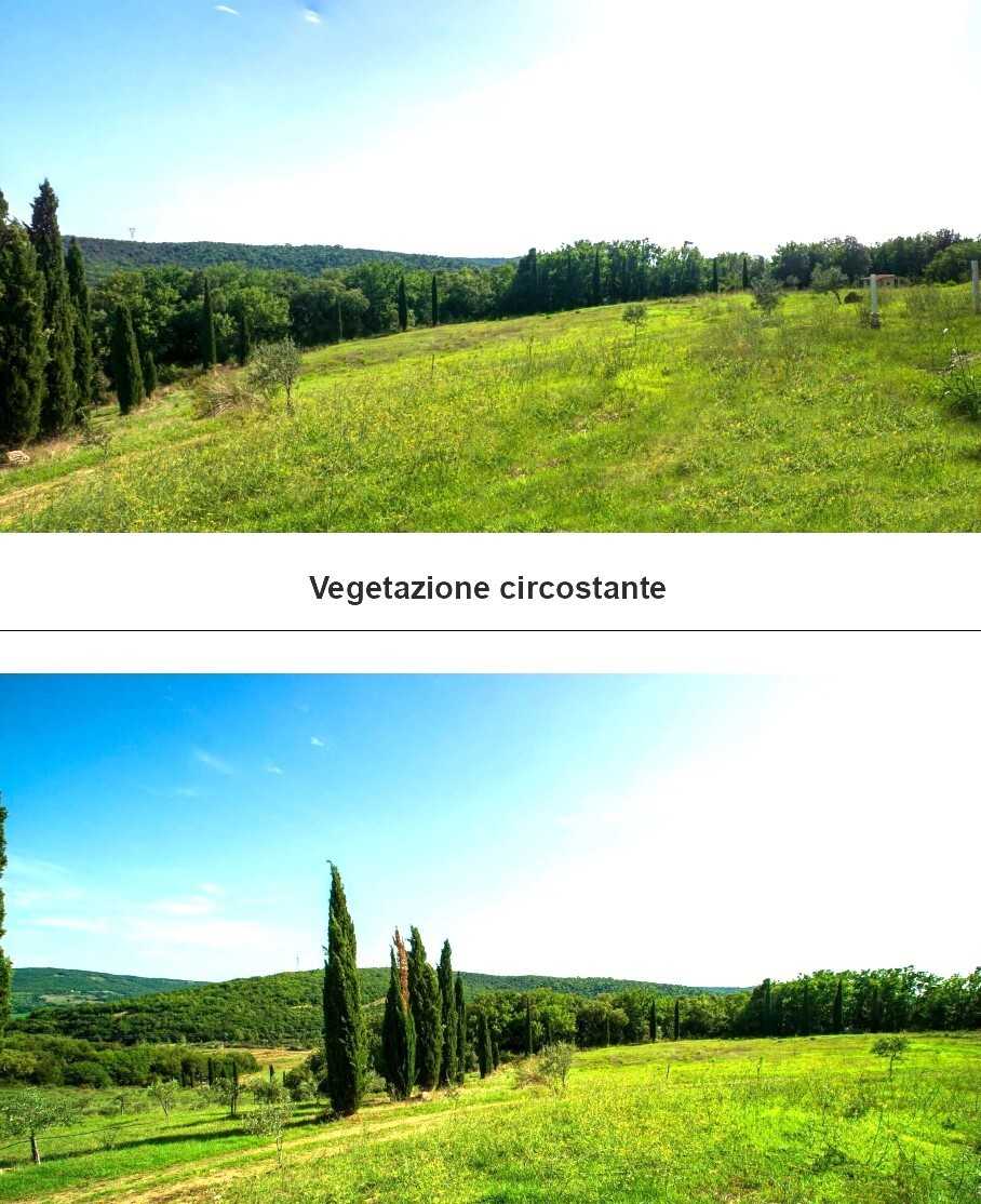  - foto 12