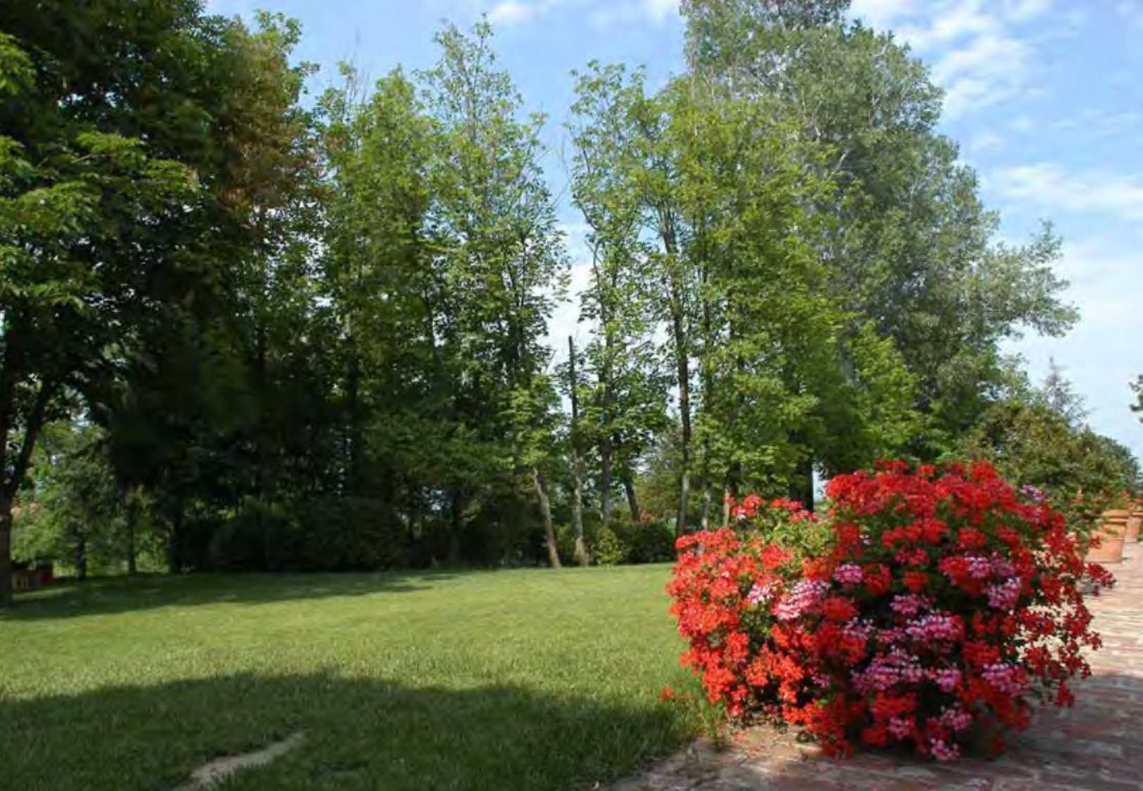  - foto 55