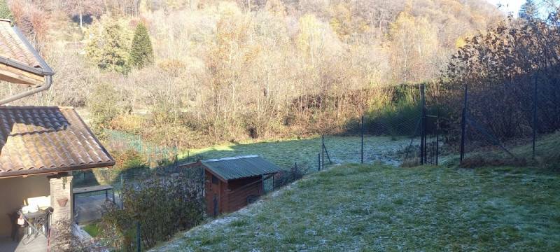 immagine annuncio 4 di 6