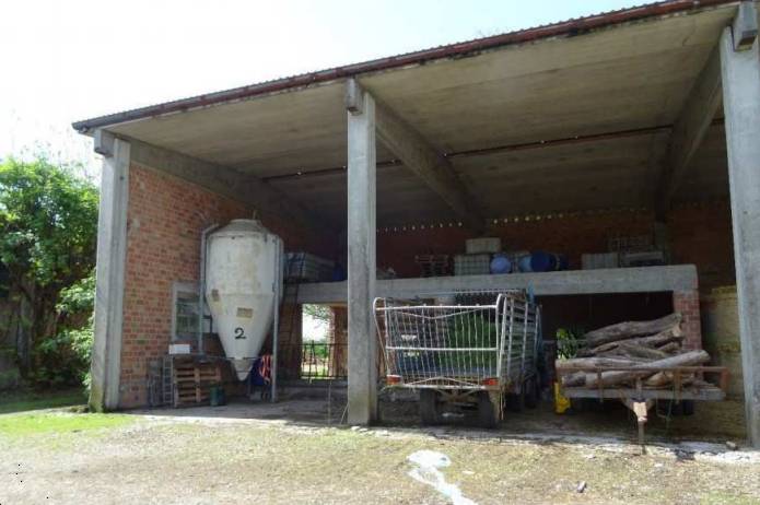 immagine annuncio 7 di 10
