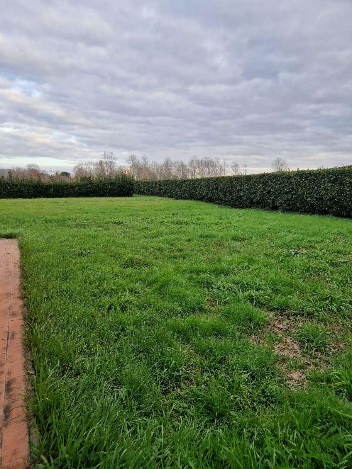  - foto 35