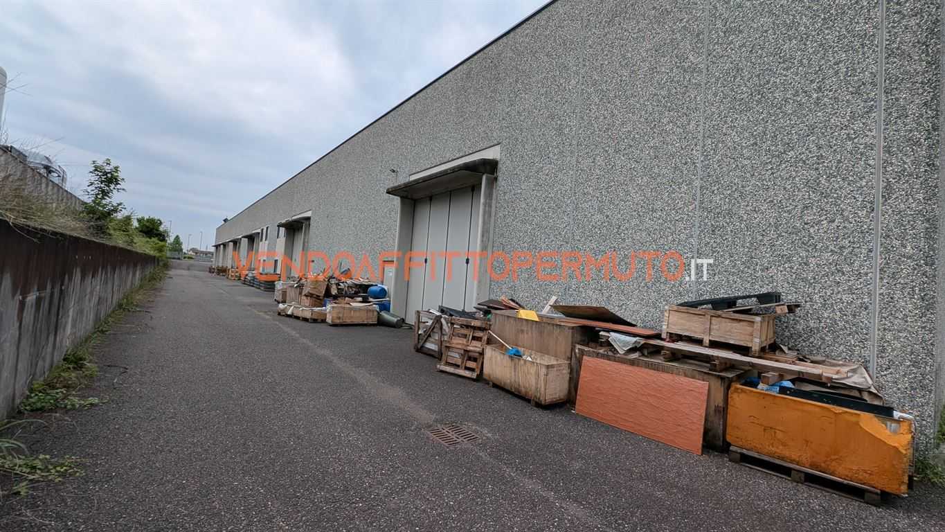 immagine annuncio 11 di 15