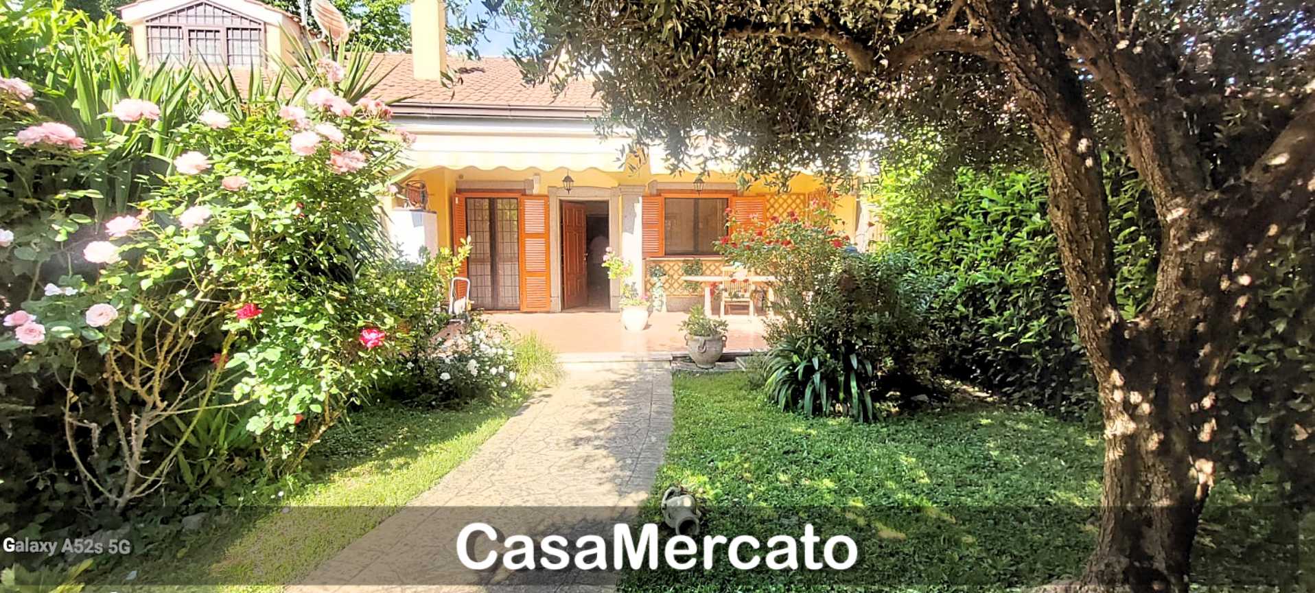 immagine annuncio 11 di 15