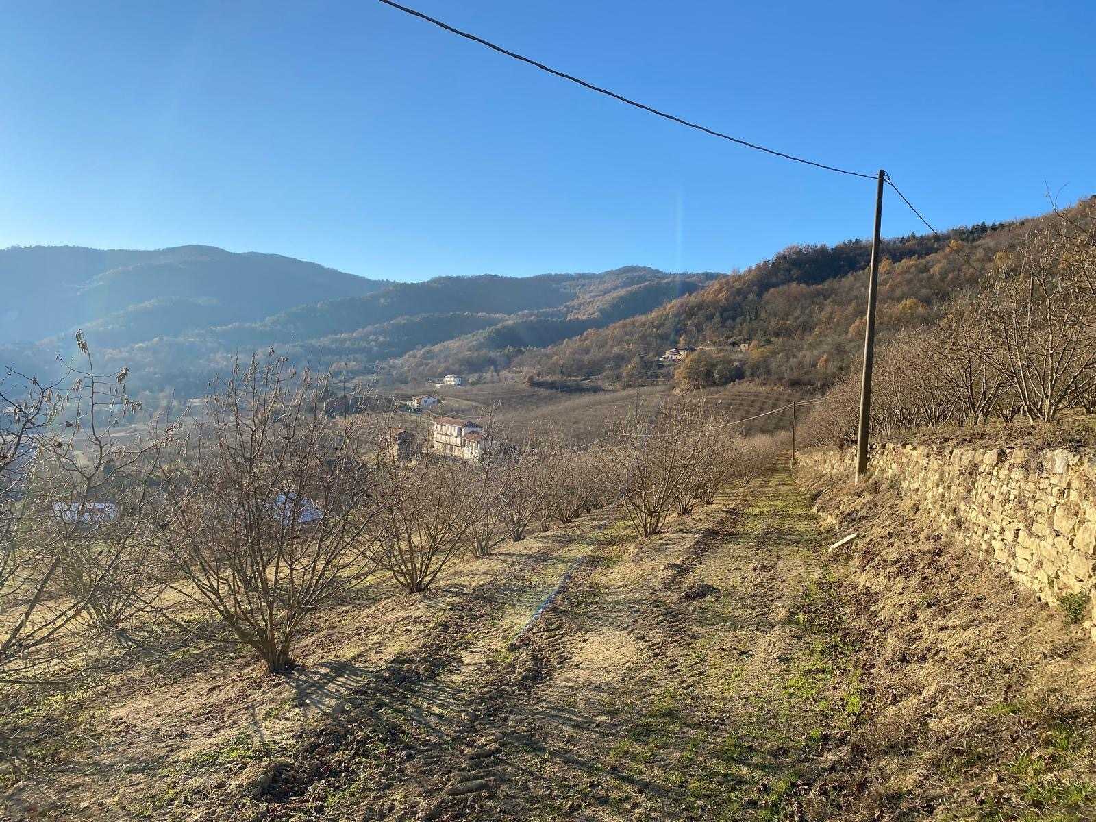  - foto 29