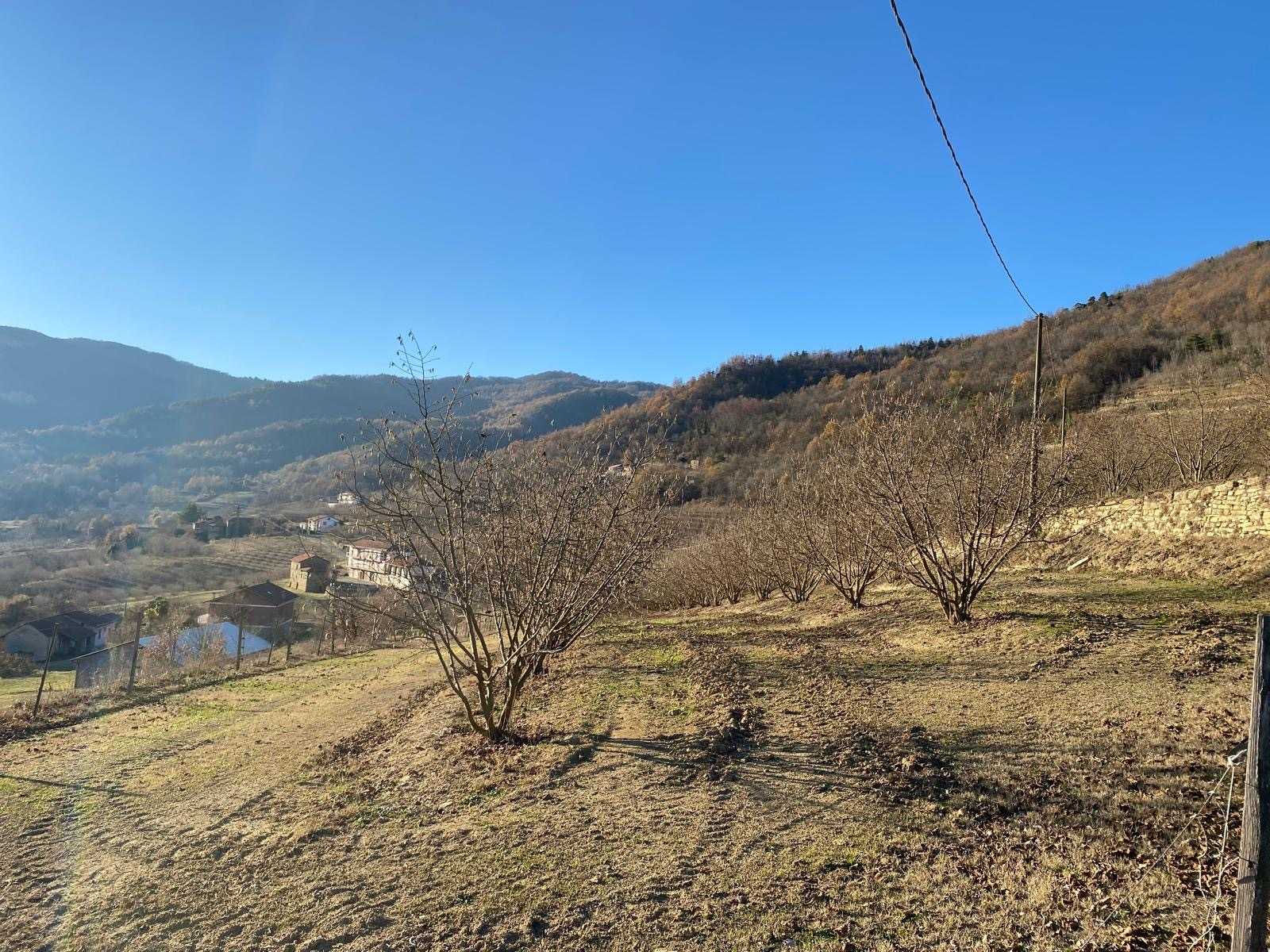  - foto 30