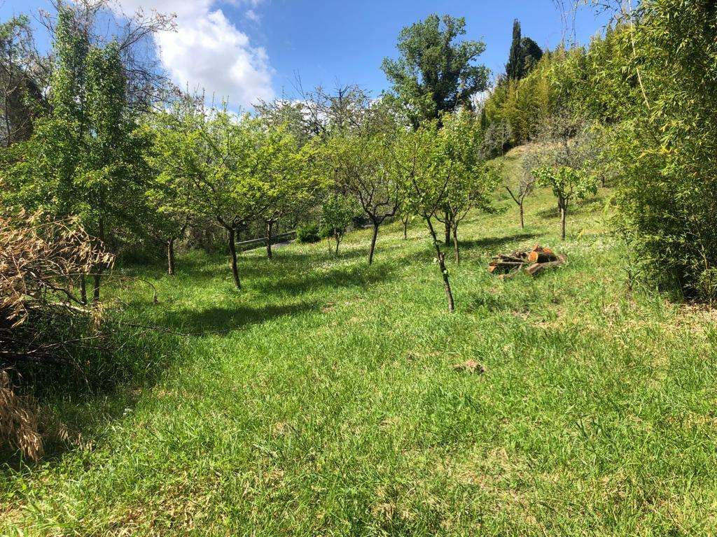  - foto 31