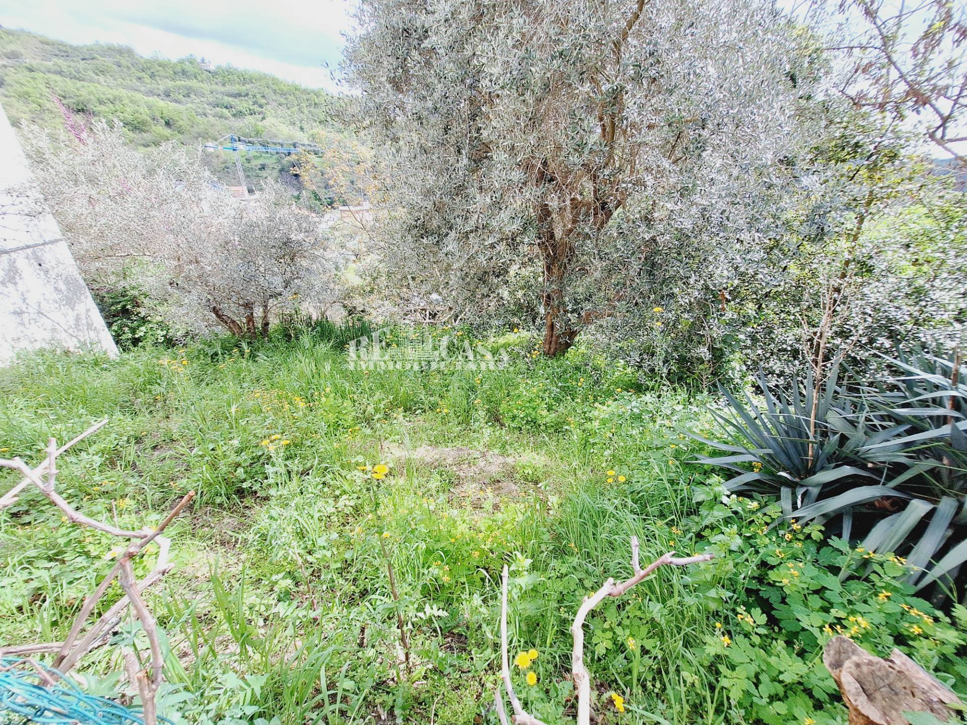  - foto 36
