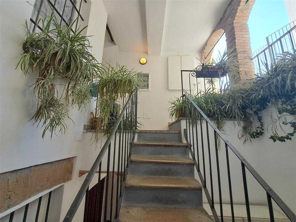  - foto 19