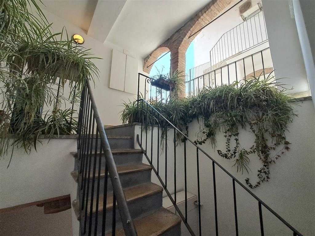 - foto 21
