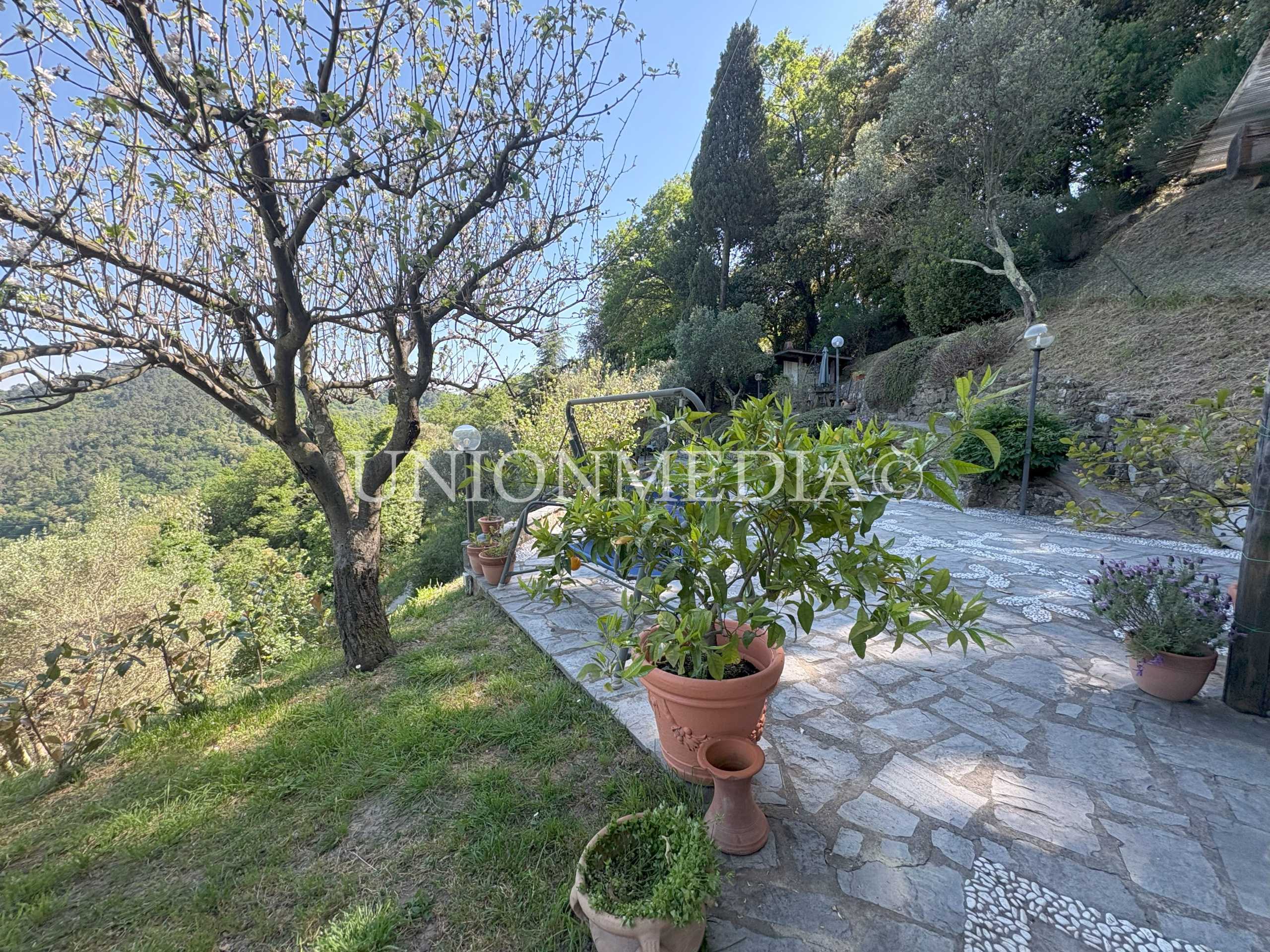  - foto 35