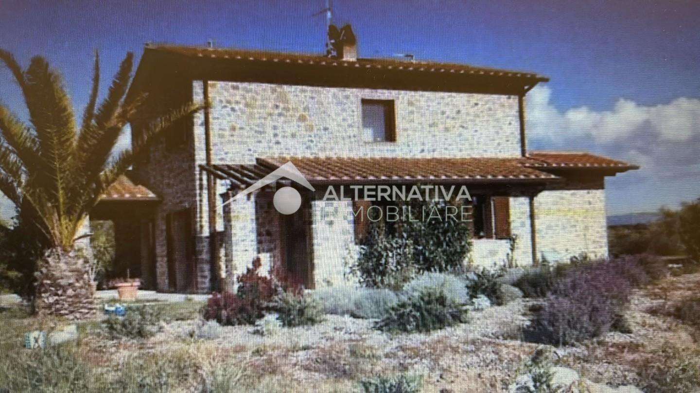 immagine annuncio 0 di 12