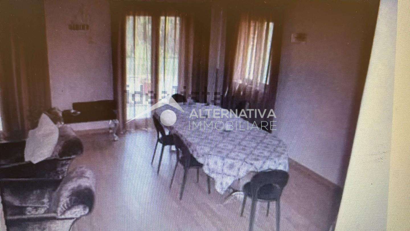 immagine annuncio 5 di 12