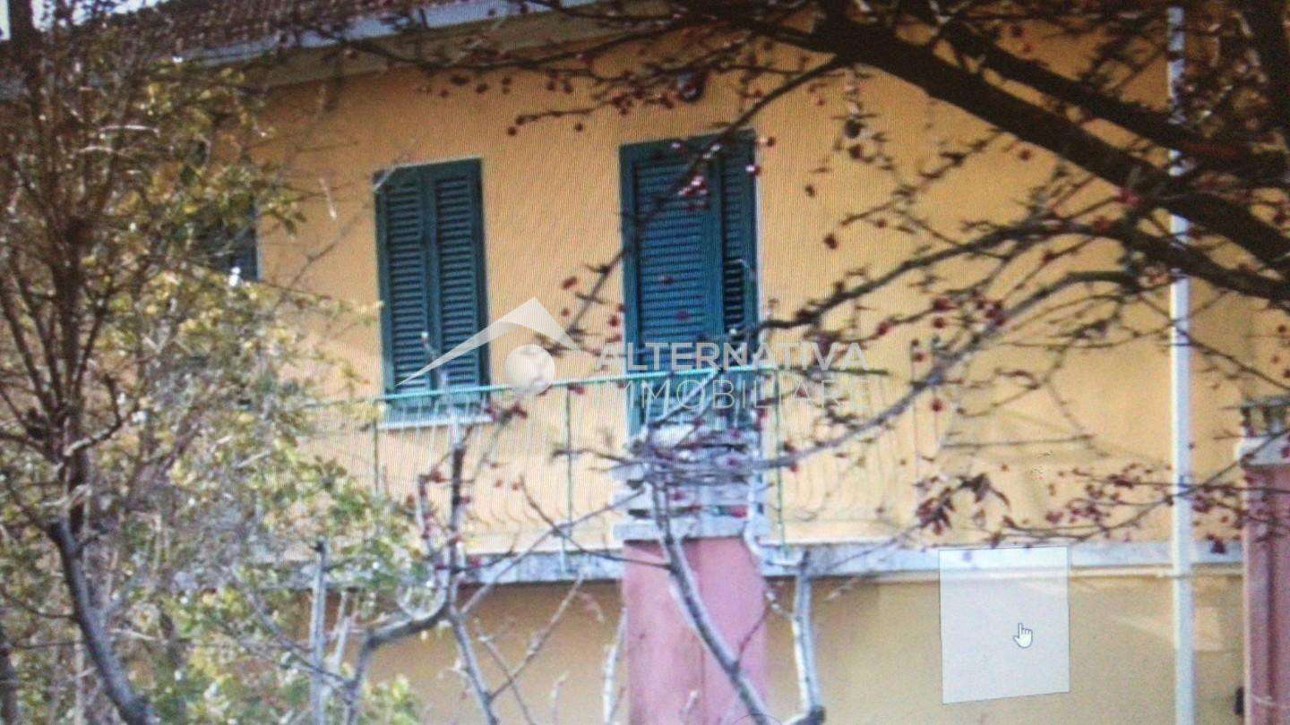 immagine annuncio 4 di 11