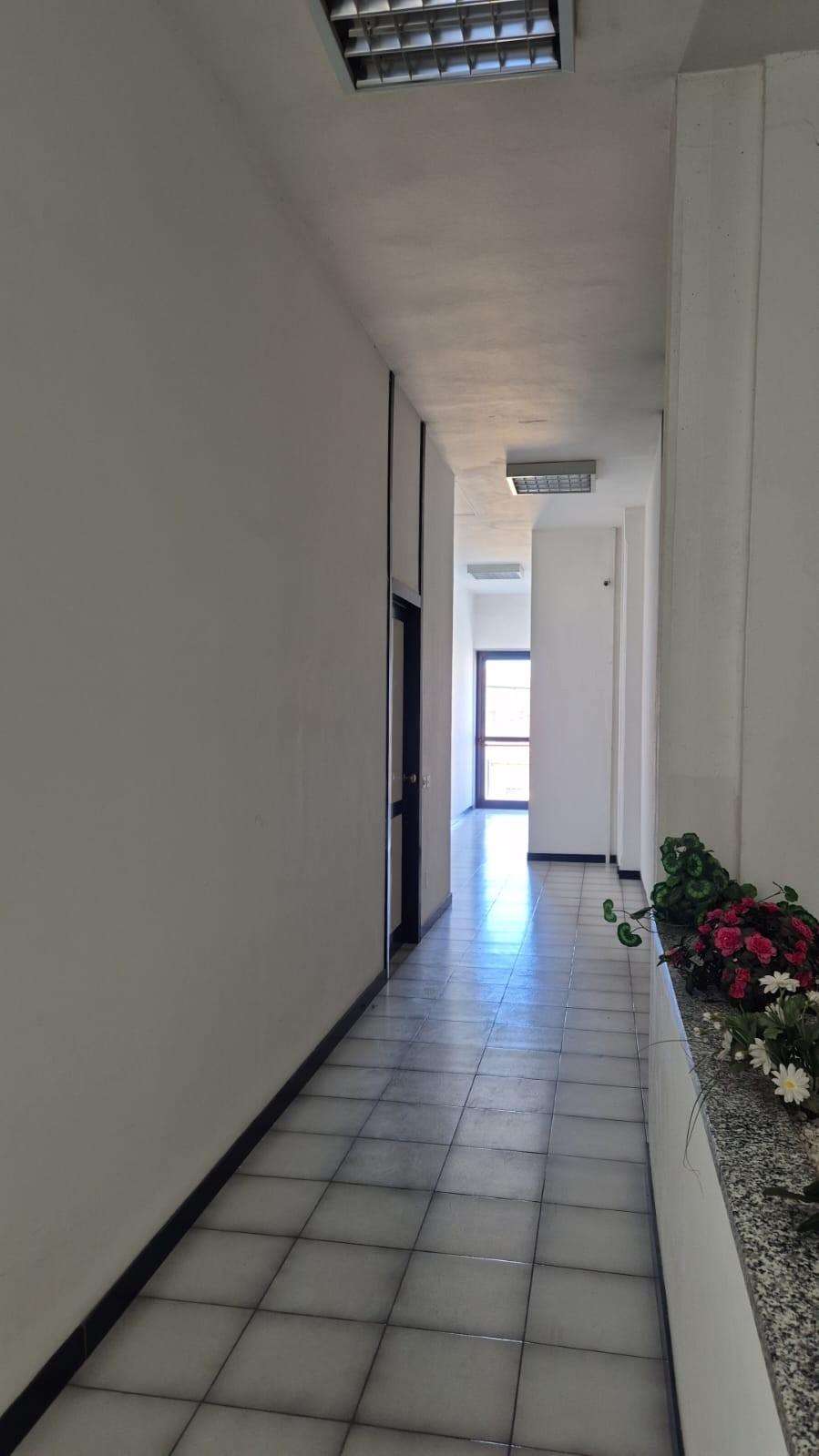  - foto 15
