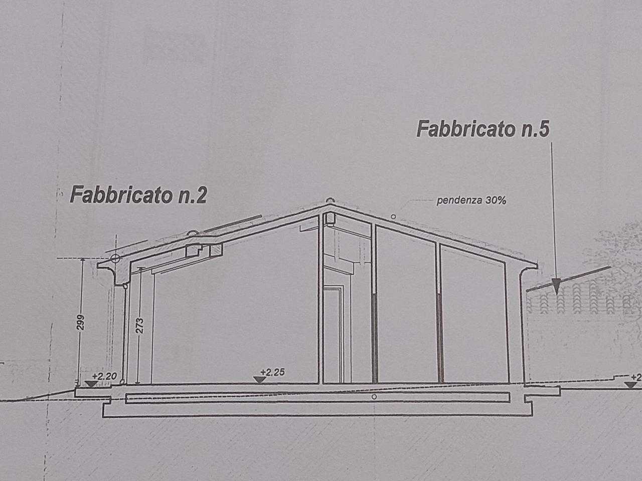  - foto 5