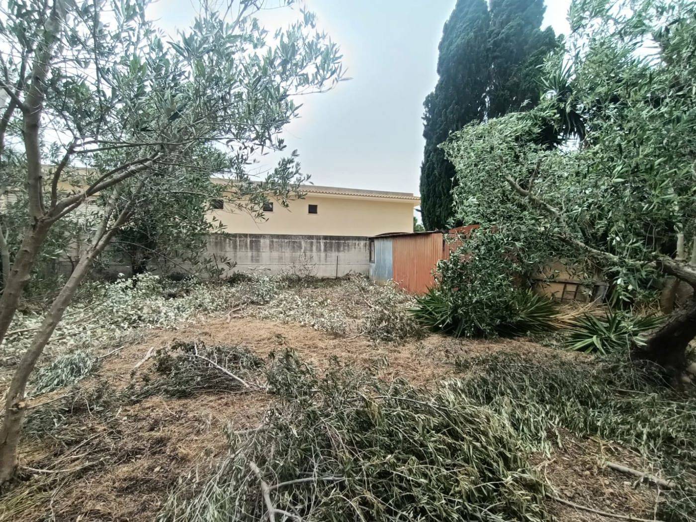 immagine annuncio 3 di 8