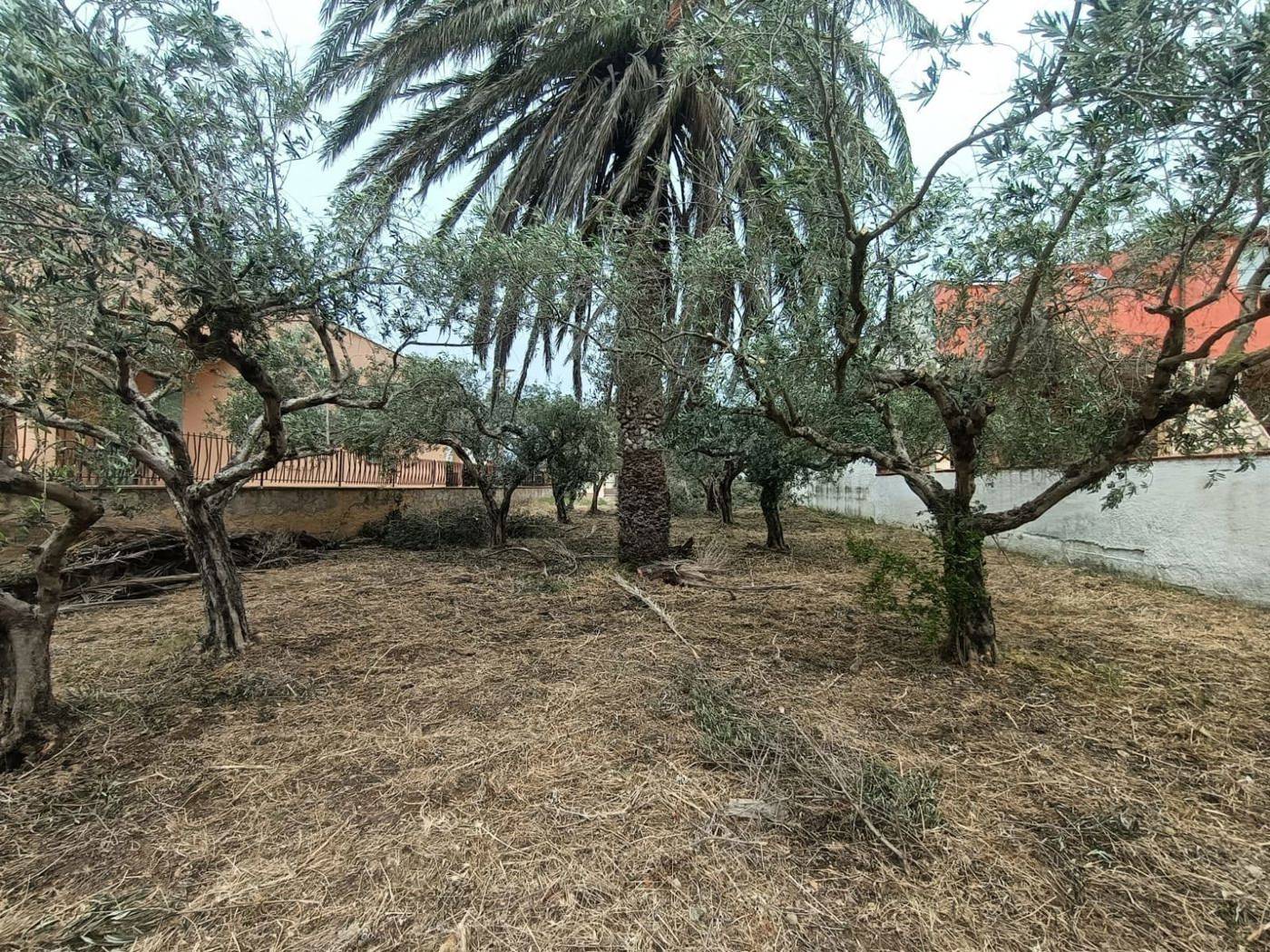 immagine annuncio 6 di 8