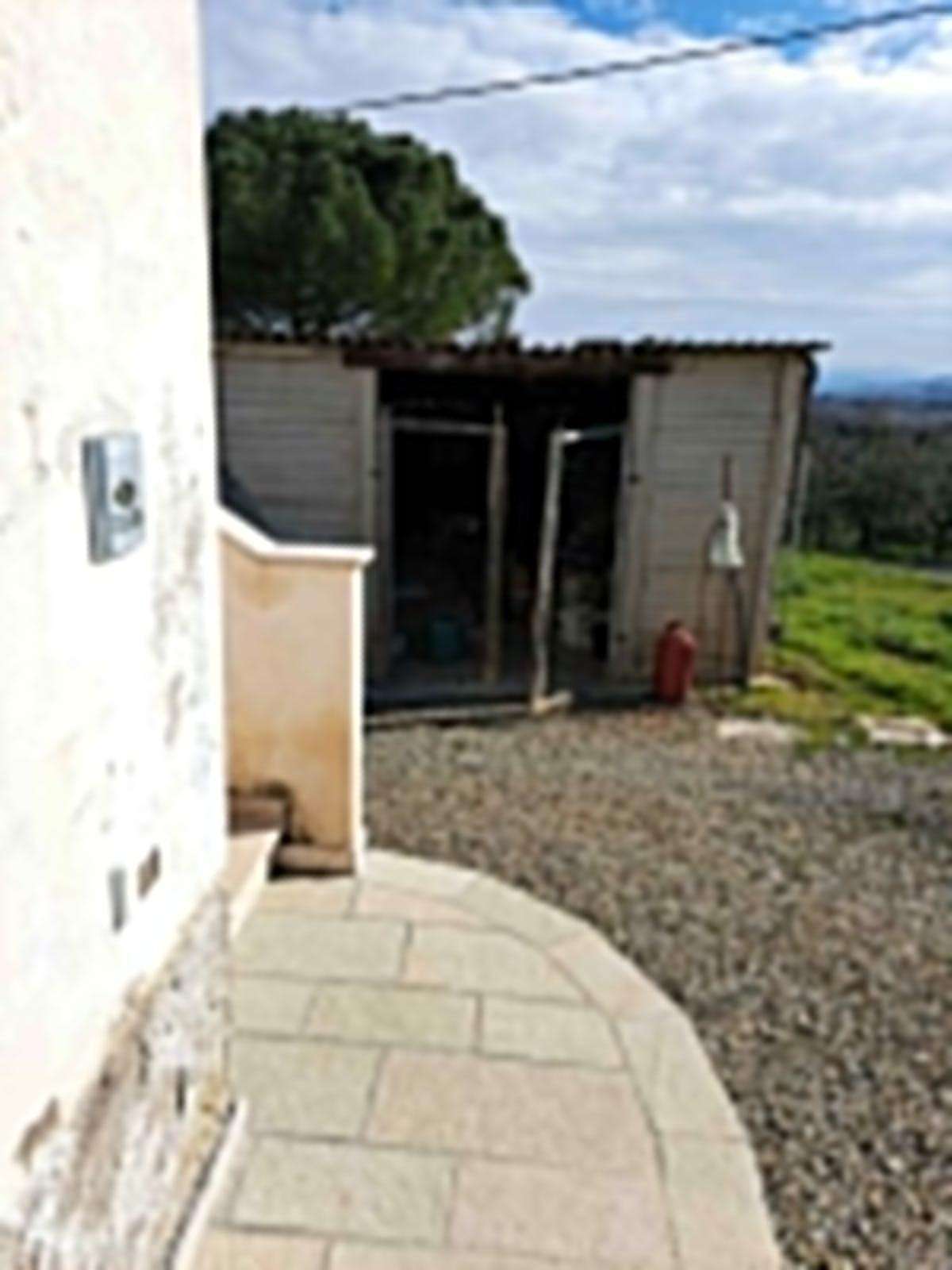 - foto 11
