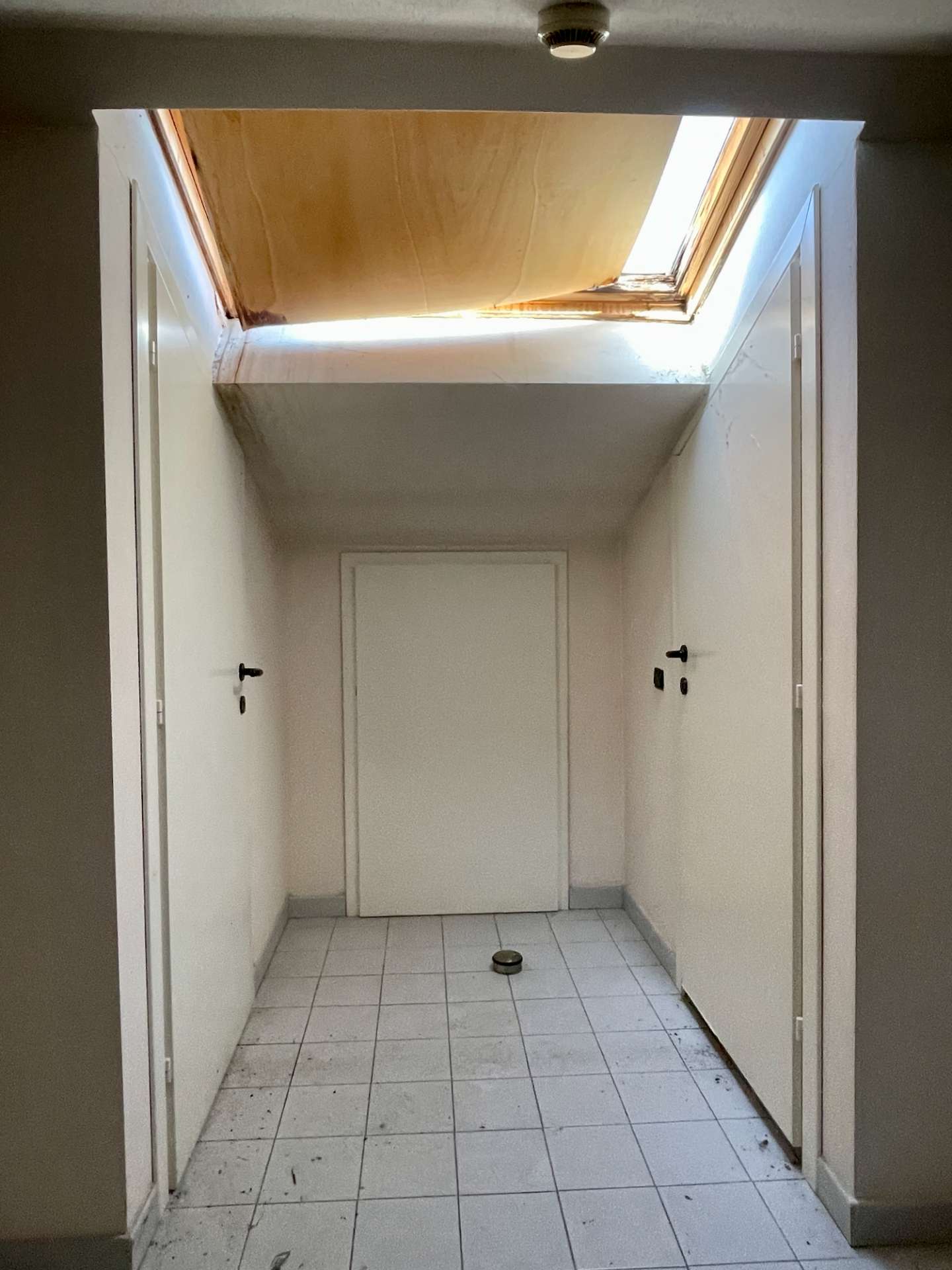  - foto 36