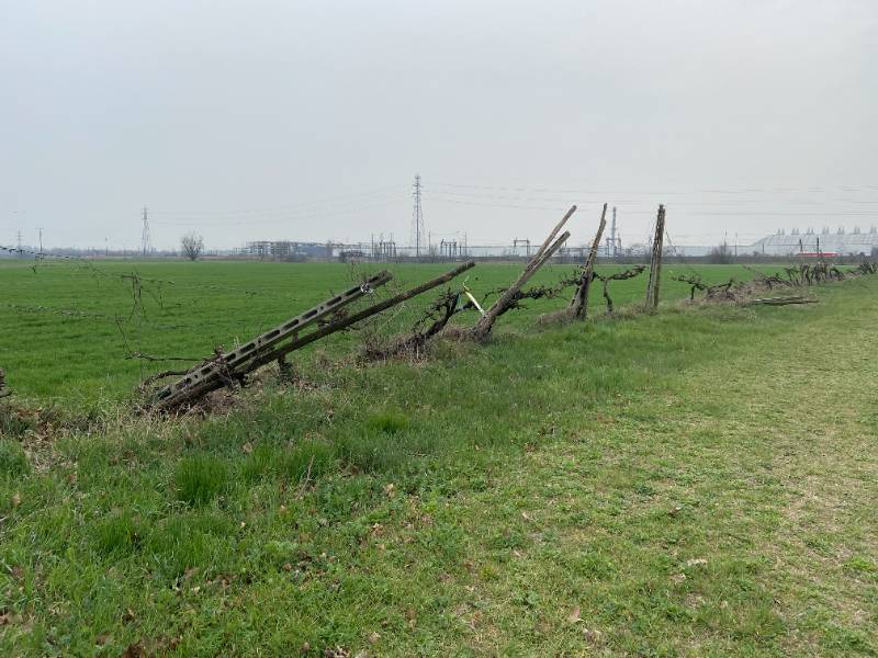  - foto 12