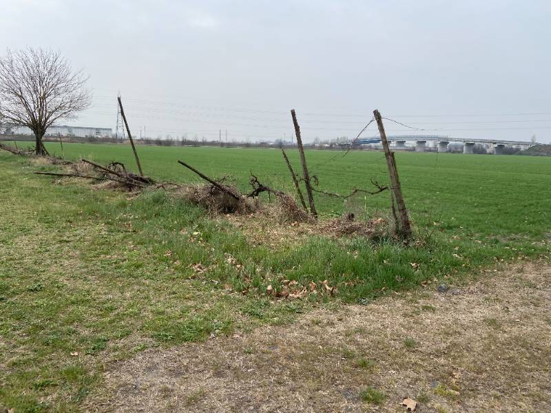  - foto 15