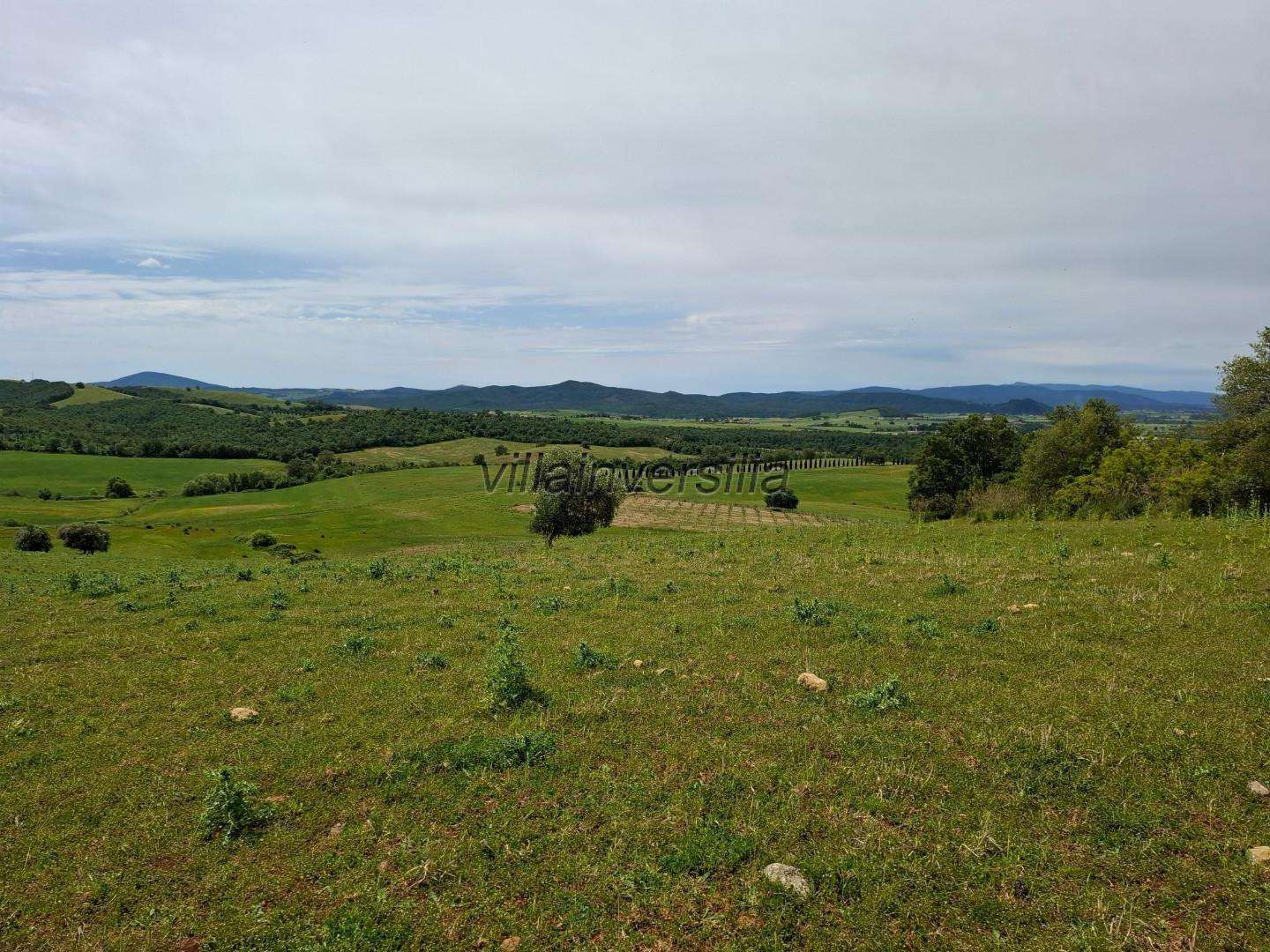 Terreno agricolo HFF+5W Manciano GR,, Manciano