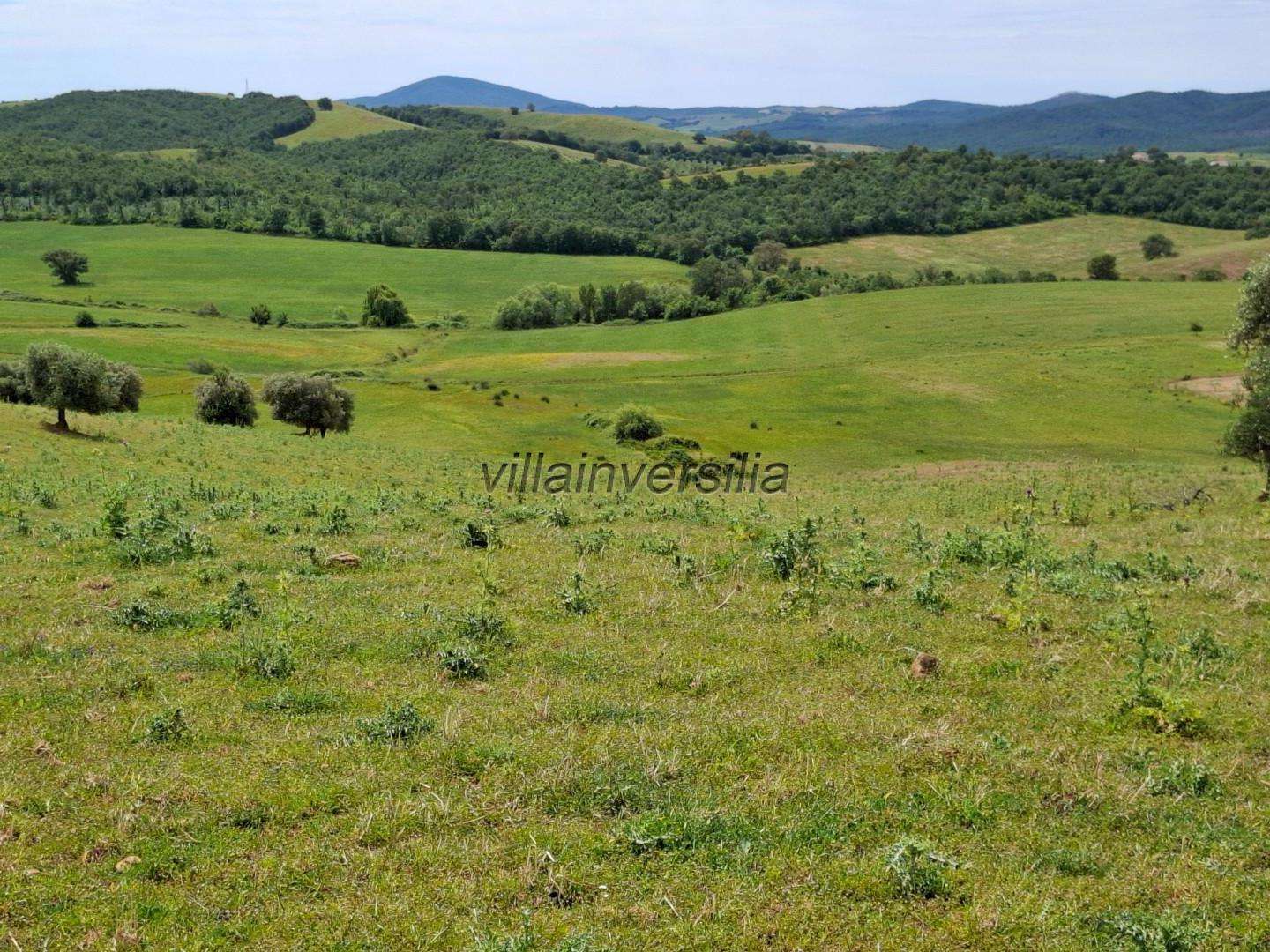 Terreno agricolo HQ+FV Magliano in Toscana GR,, Manciano