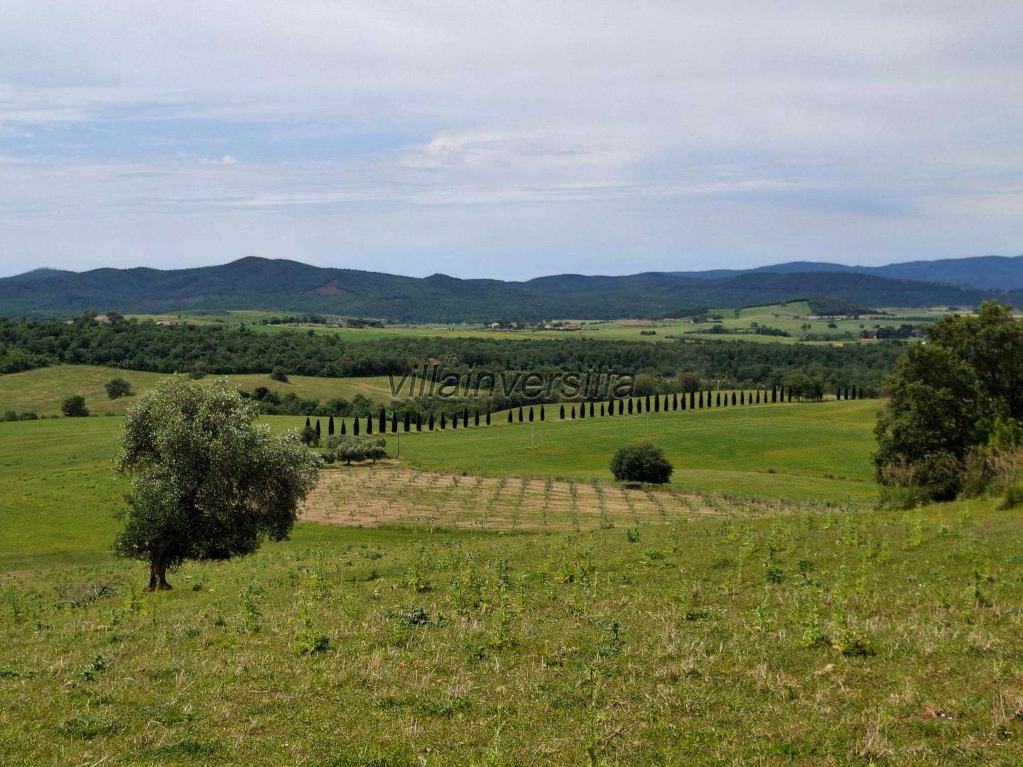 immagine annuncio 3 di 6