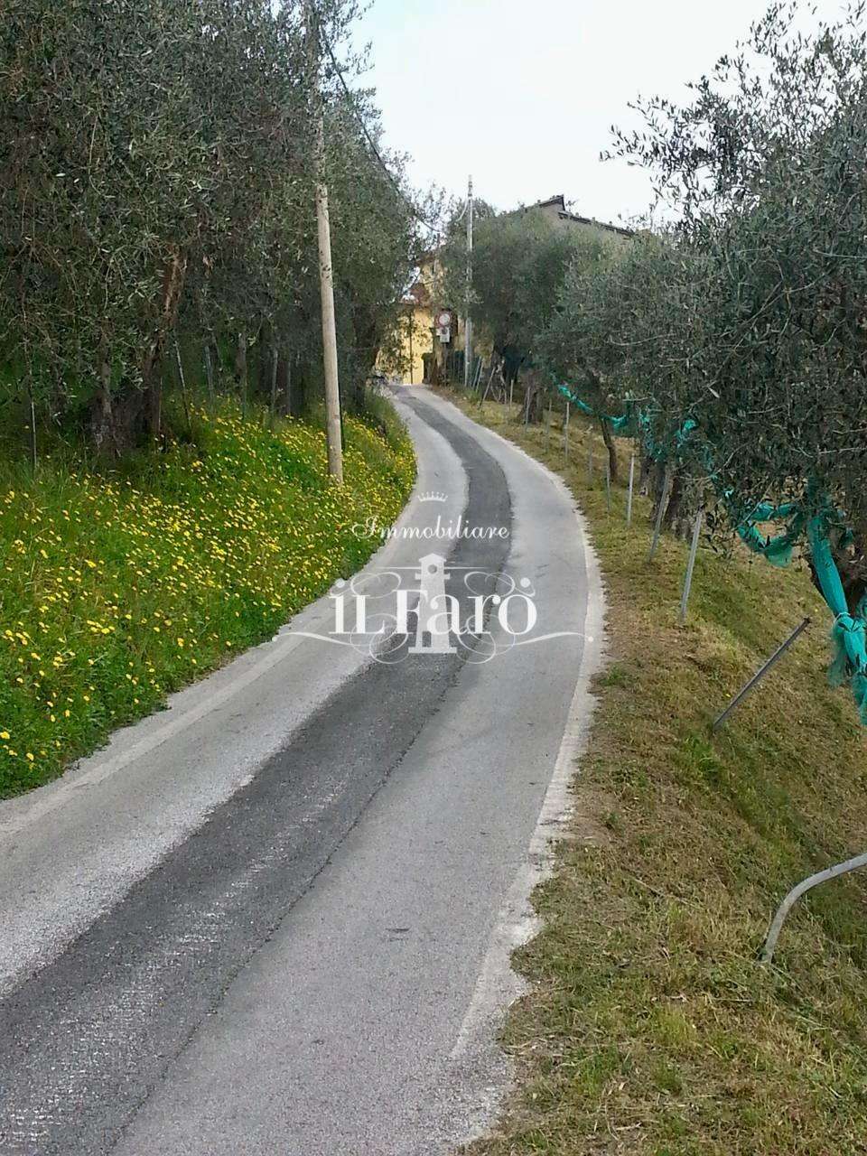  - foto 36