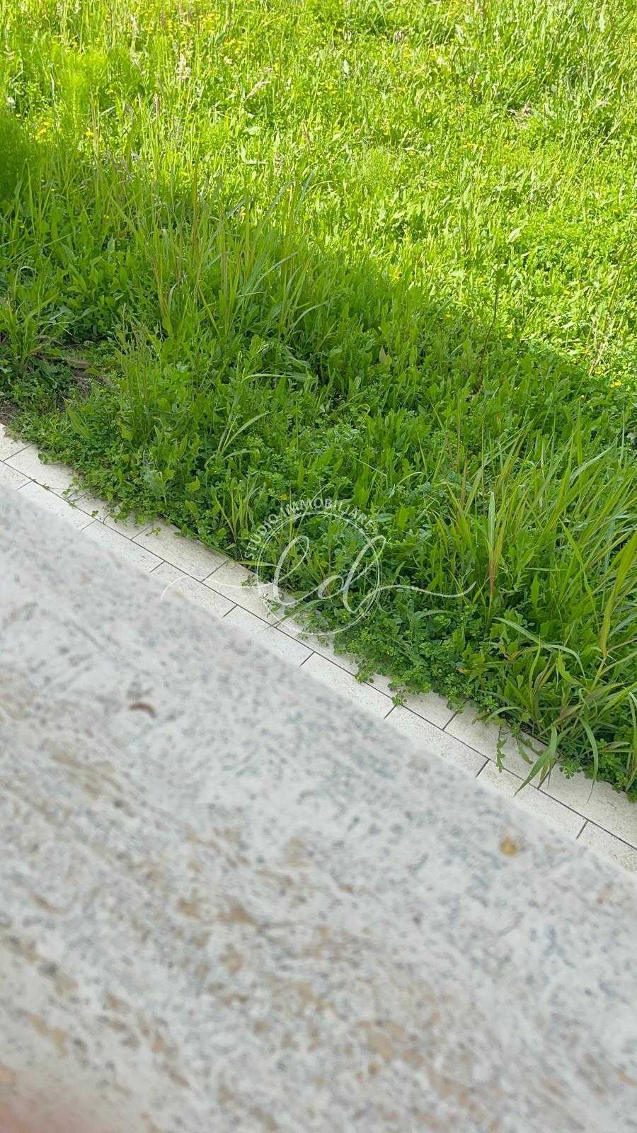  - foto 16