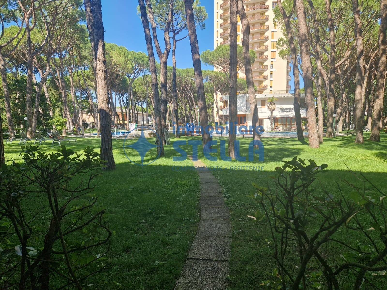 - foto 41